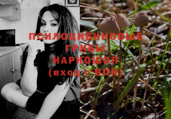гидра Горно-Алтайск