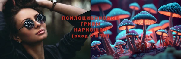 гидра Горно-Алтайск