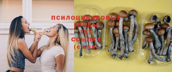 гидра Горно-Алтайск