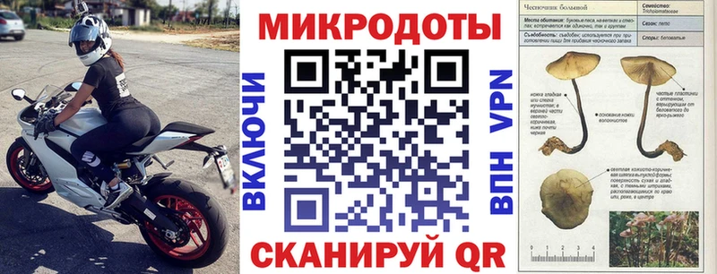 blacksprut ссылки  Знаменск  Галлюциногенные грибы Cubensis  даркнет сайт 